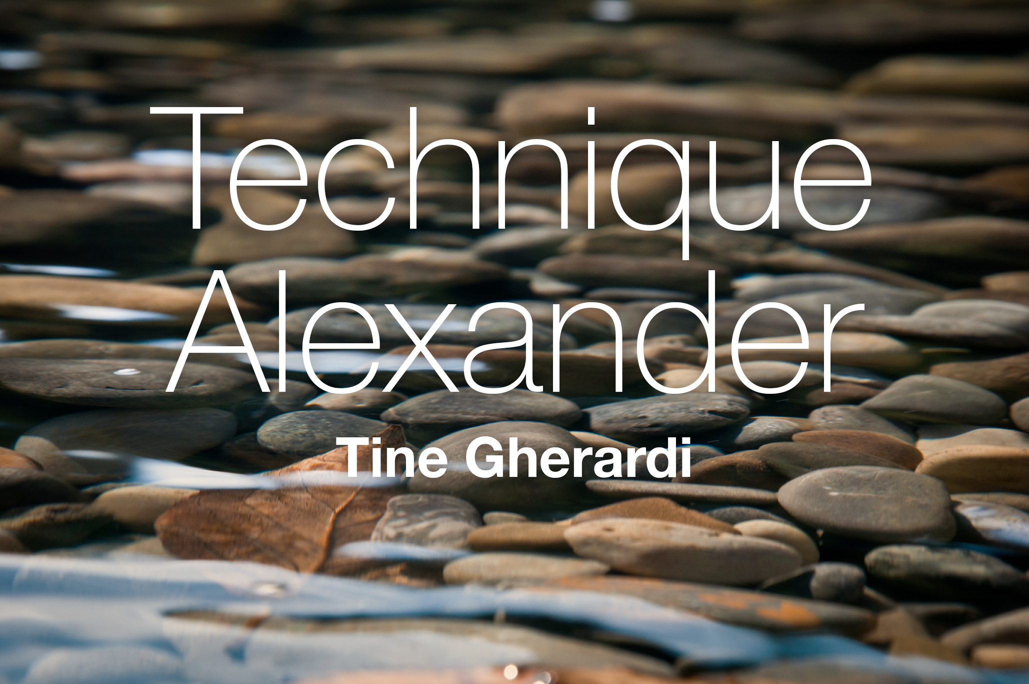 Technique Alexander Tine Gherardi